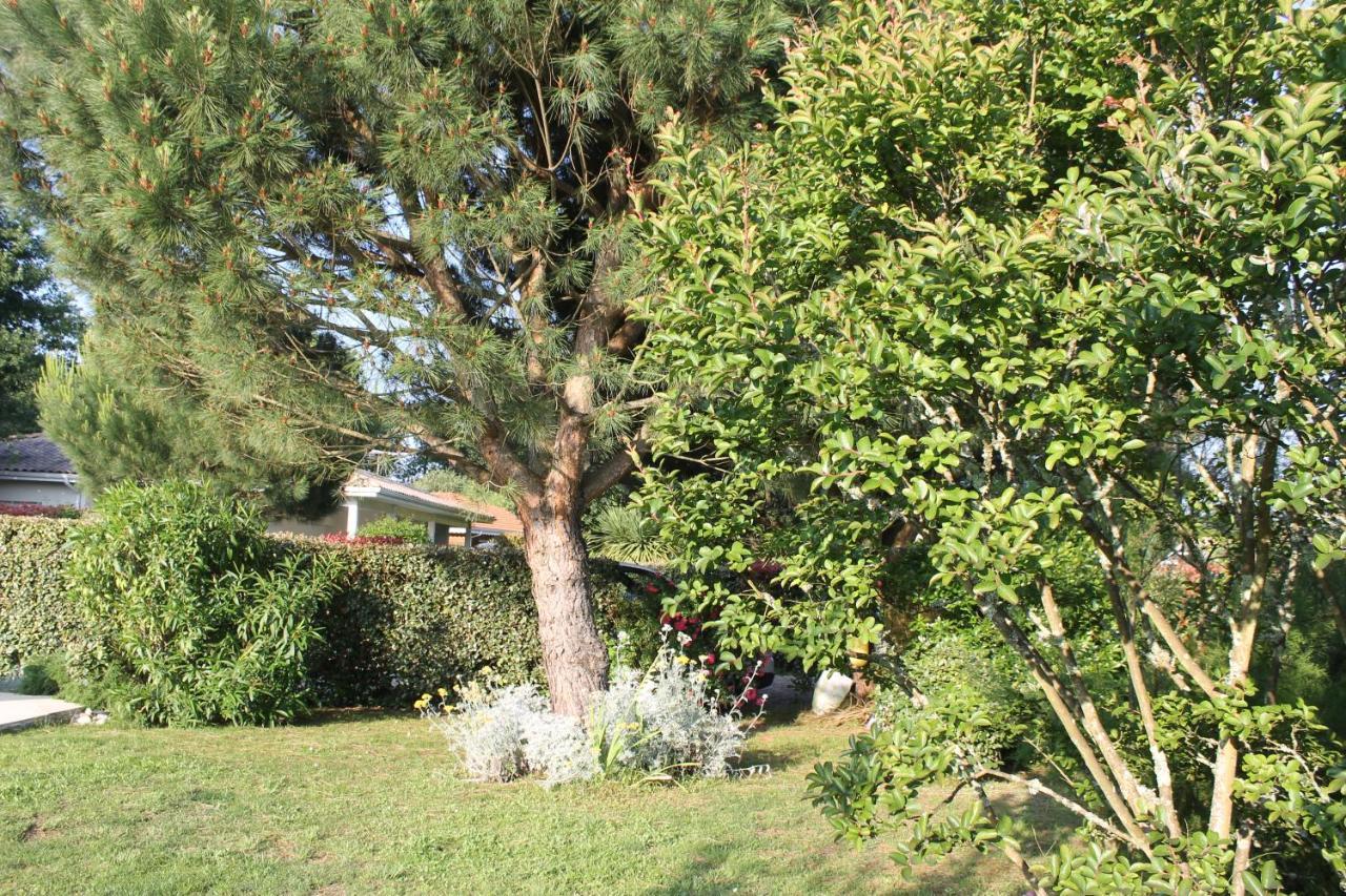 Hotel Chez Sophie Lège-Cap-Ferret Esterno foto